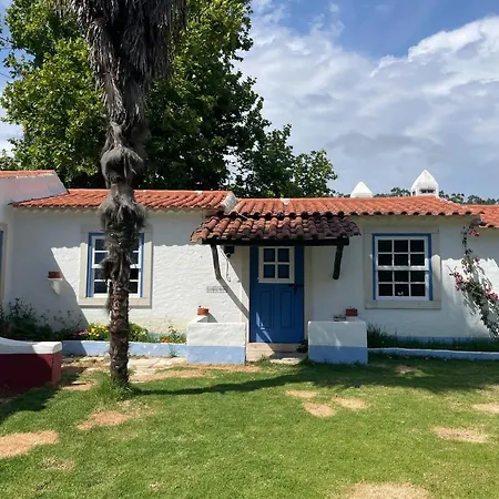 Cozy Historic Pool Casalinho Da Moita Longa 펜션
