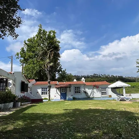 Cozy Historic Pool Casalinho Da Moita Longa 펜션